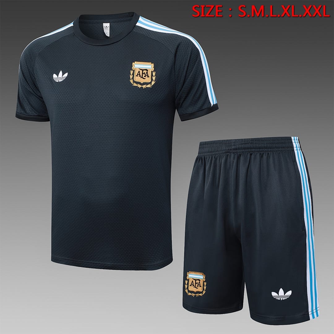 Argentina 25/26 Camiseta Entrenamiento · Gris Oscuro