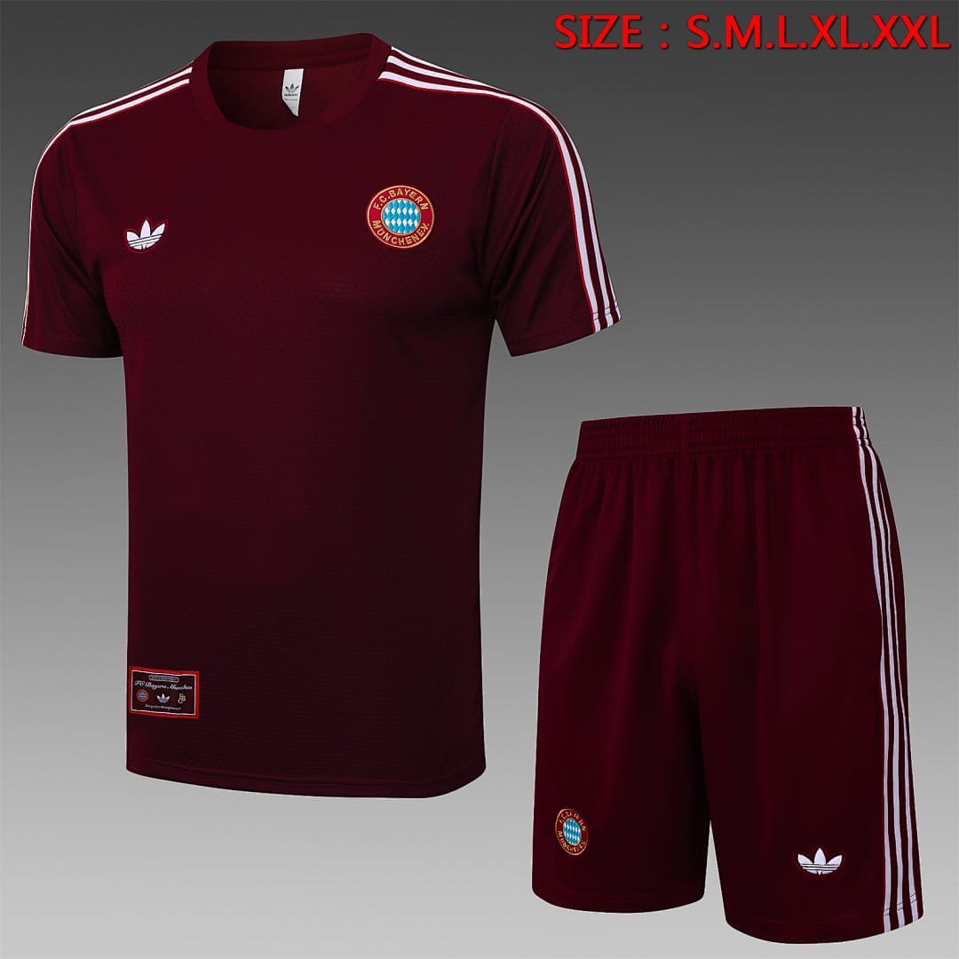 Bayern Múnich 25/26 Camiseta Entrenamiento · Vino