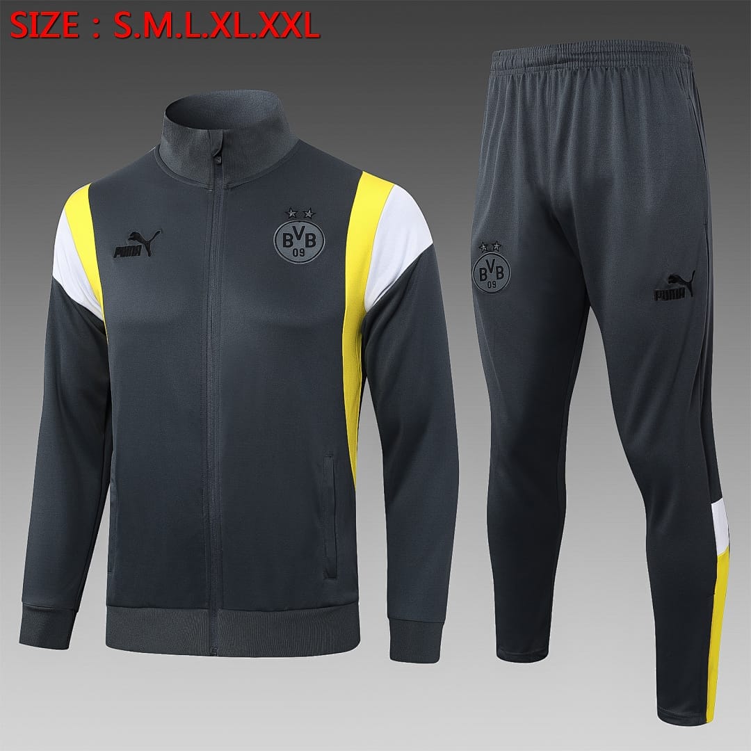 Borussia Dortmund 23/24 Chaqueta · Gris