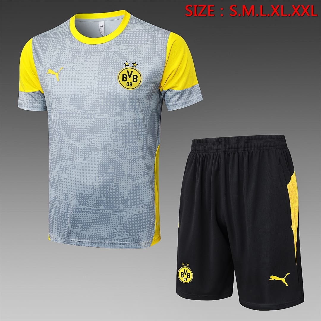 Borussia Dortmund 25/26 Camiseta Entrenamiento · Gris Claro