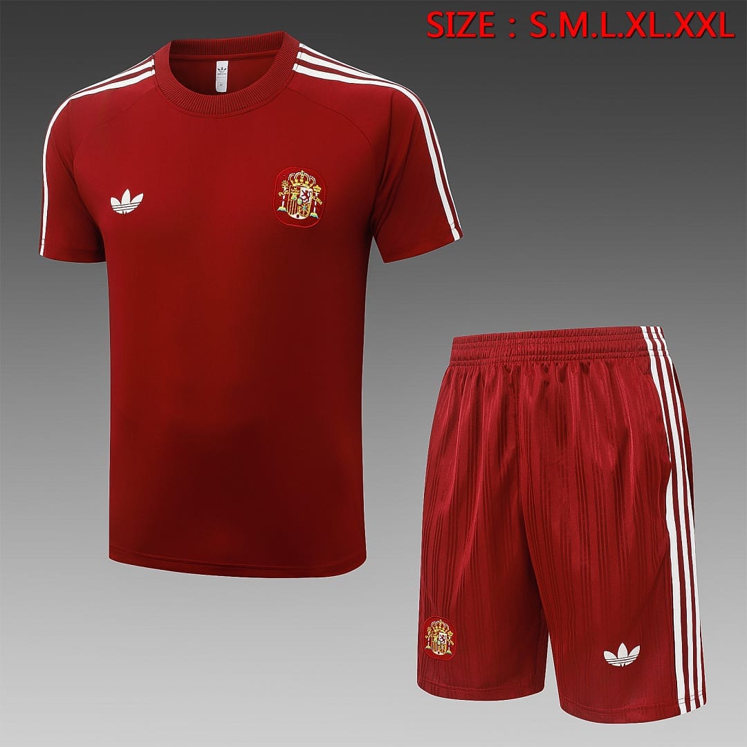 España 26/27 Camiseta Entrenamiento · Vino