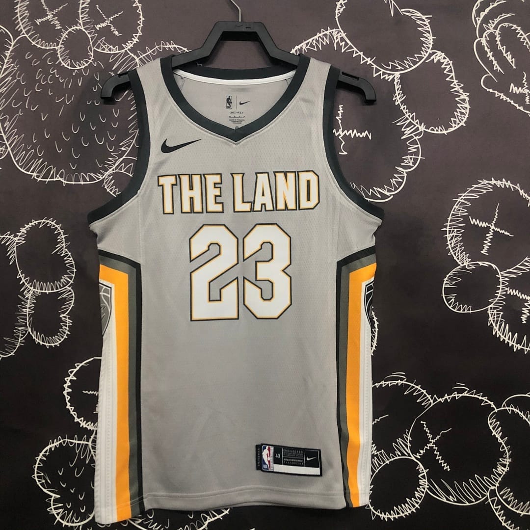 Cavaliers 17/18 Gris