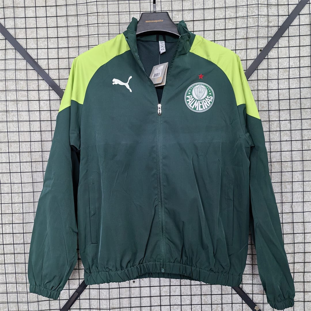 Palmeiras Rompevientos