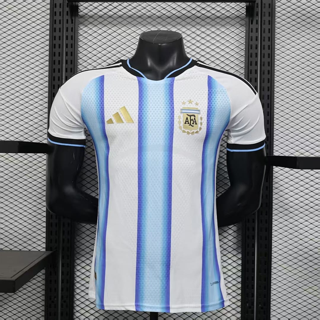Argentina 2026 Local · Diseño 1 vista 2